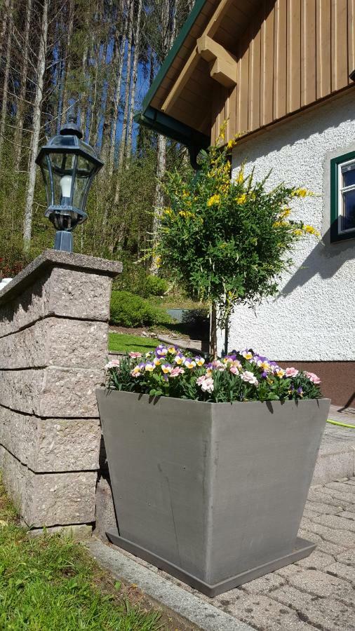 Ferienhaus Saxenauer Hinterstoder Kültér fotó